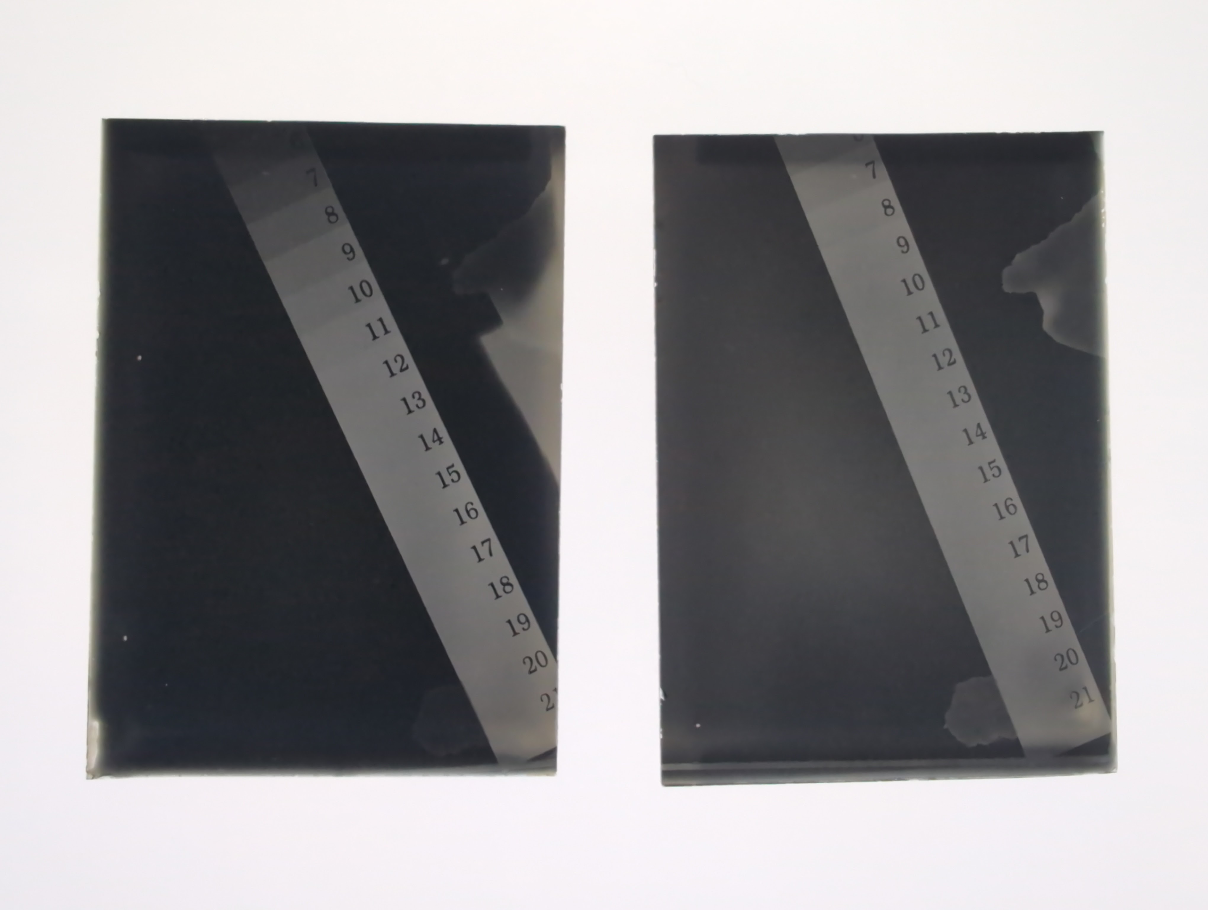 My first two plates, exposed directly under an enlarger with a step wedge.