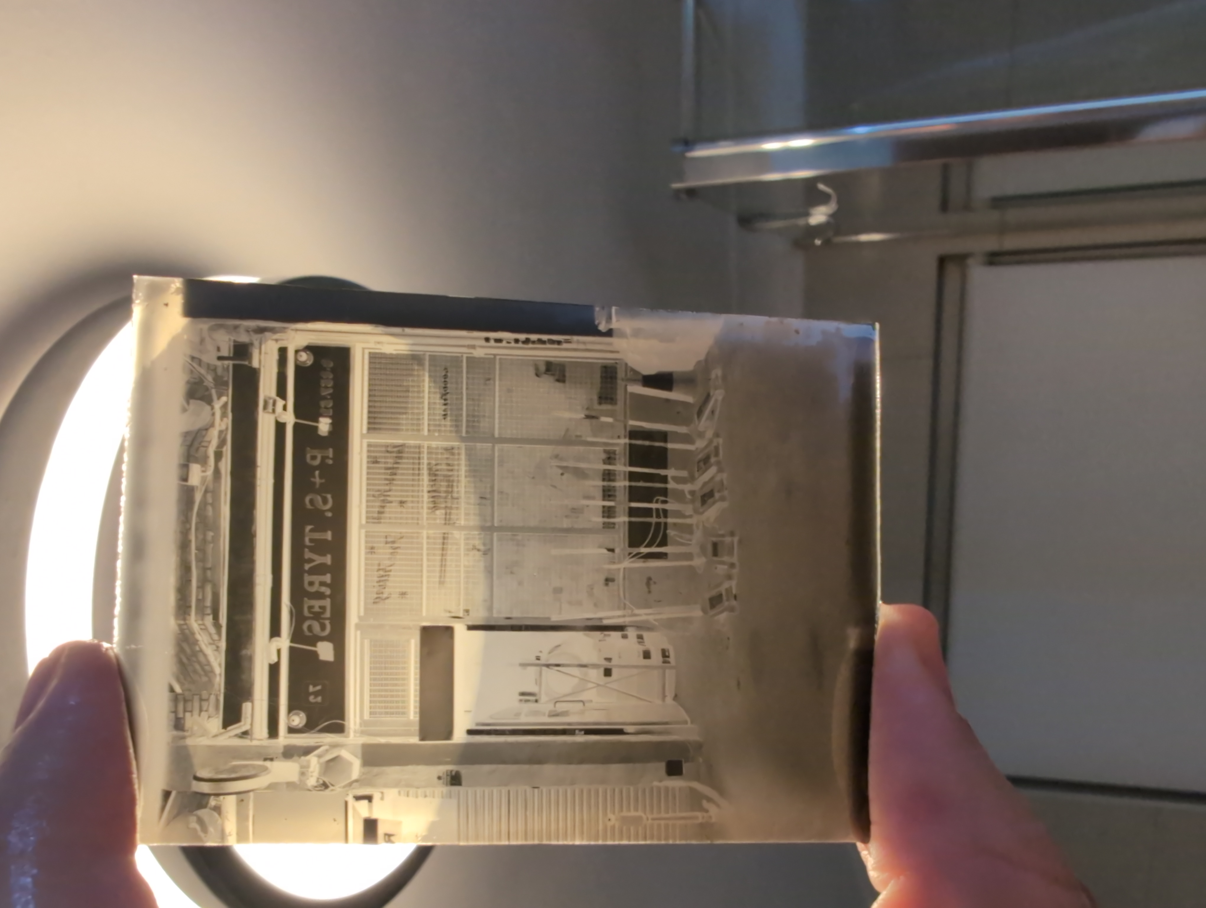 The freshly fixed plate