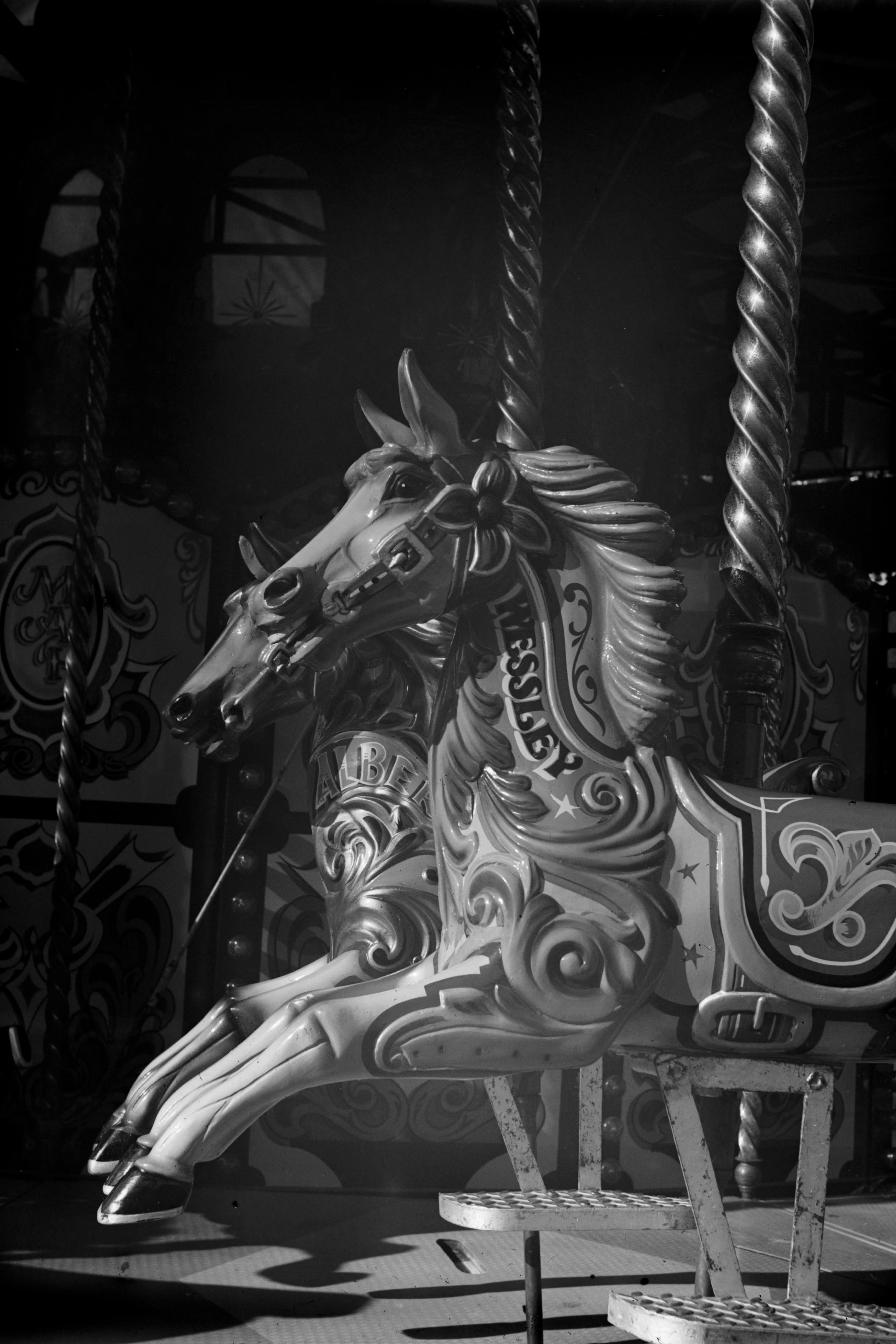 Wesley the carousel horse